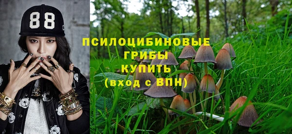 соль курить ск Пересвет