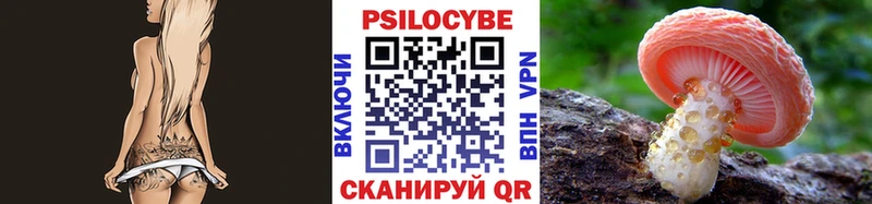 Галлюциногенные грибы MAGIC MUSHROOMS  blacksprut ссылки  Чернушка  где купить наркоту 