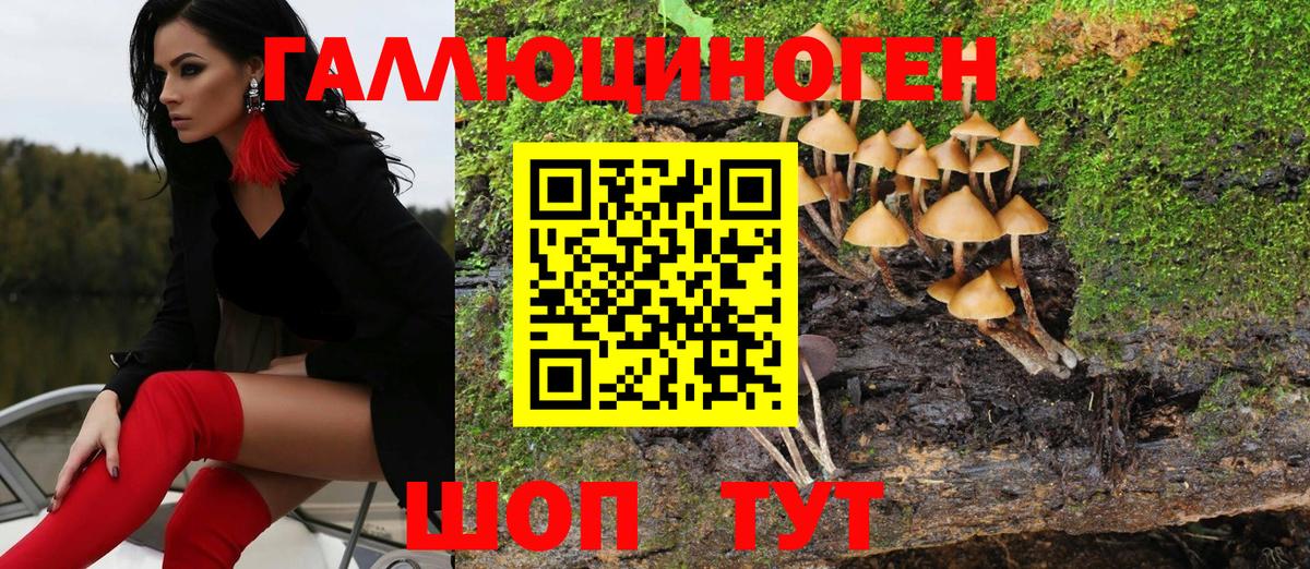 Галлюциногенные грибы Psilocybine cubensis  Псилоцибиновые грибы мицелий  Чернушка  Вход с VPN 